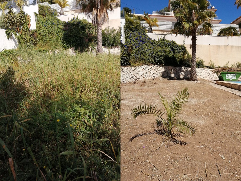 recuperacion jardin Teulada