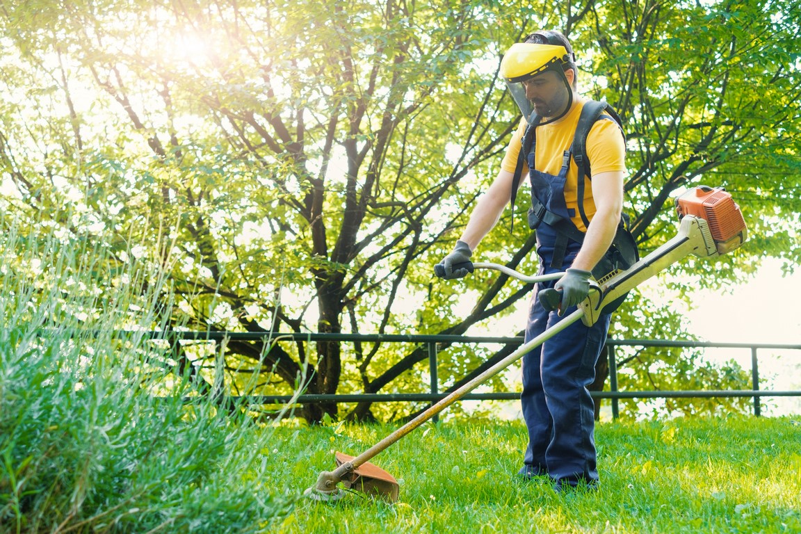 limpieza de jardines Teulada Alicante
