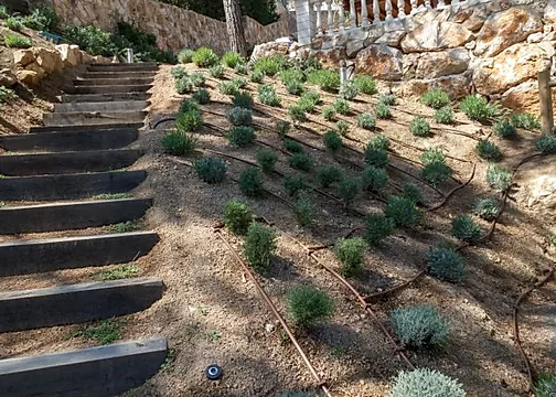 irrigation drip system