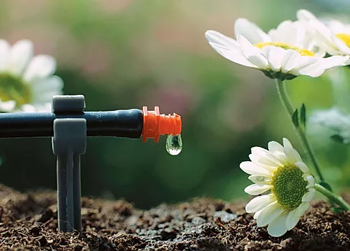 sistema de riego por goteo